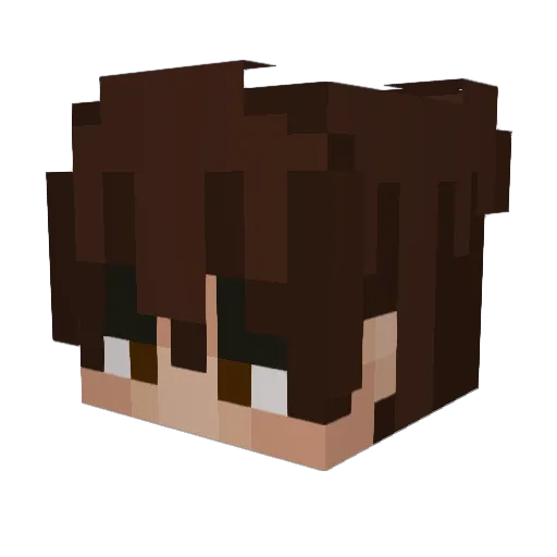 SoulOrLife Minecraft avatar head, 3D render