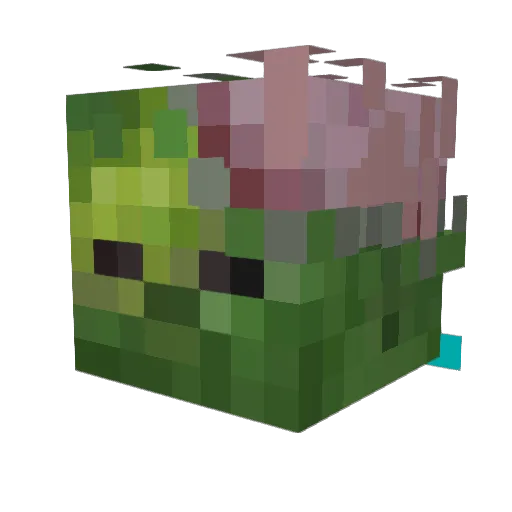SoulReaperowo Minecraft avatar head, 3D render