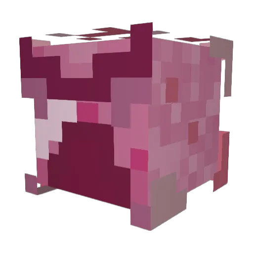 SoulScrolls Minecraft avatar head, 3D render