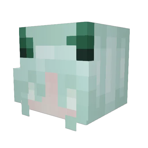 SoulShine8 Minecraft avatar head, 3D render