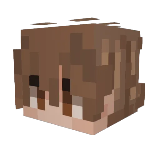SoulSolace Minecraft avatar head, 3D render