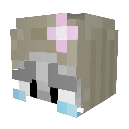 SoulXee Minecraft avatar head, 3D render