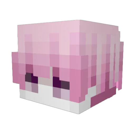 Soul_Conqueror Minecraft avatar head, 3D render