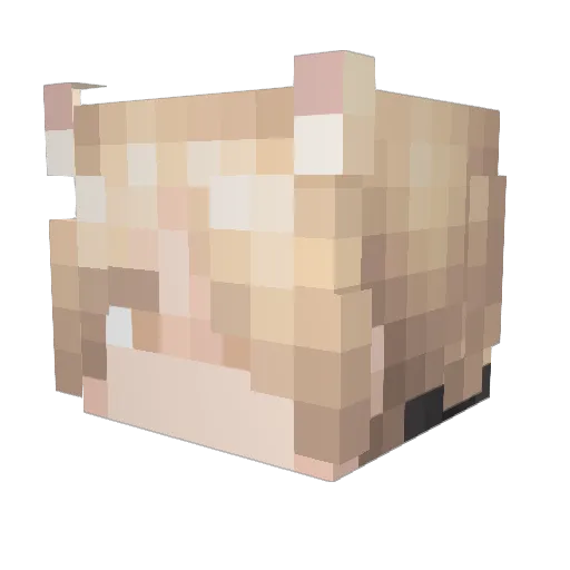 Soul_Djdg Minecraft avatar head, 3D render