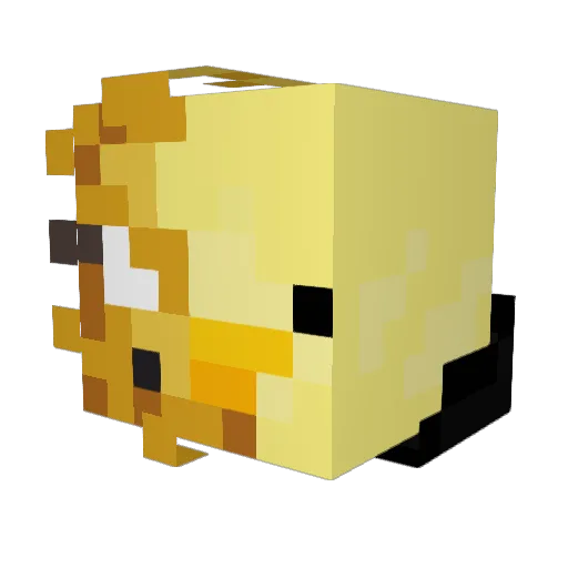 Soul_Ducky Minecraft avatar head, 3D render