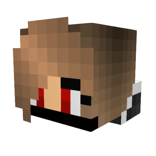 Soul_Eater023 Minecraft avatar head, 3D render