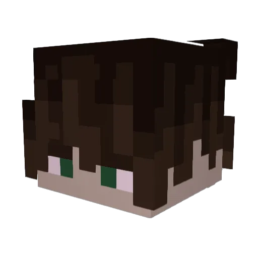 Soulfulfrost Minecraft avatar head, 3D render