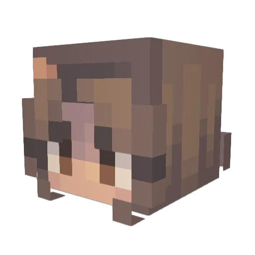 Soulfury638 Minecraft avatar head, 3D render