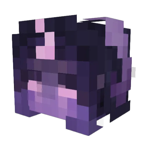 Soulipie Minecraft avatar head, 3D render
