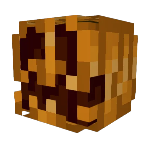 Souljaboy657 Minecraft avatar head, 3D render