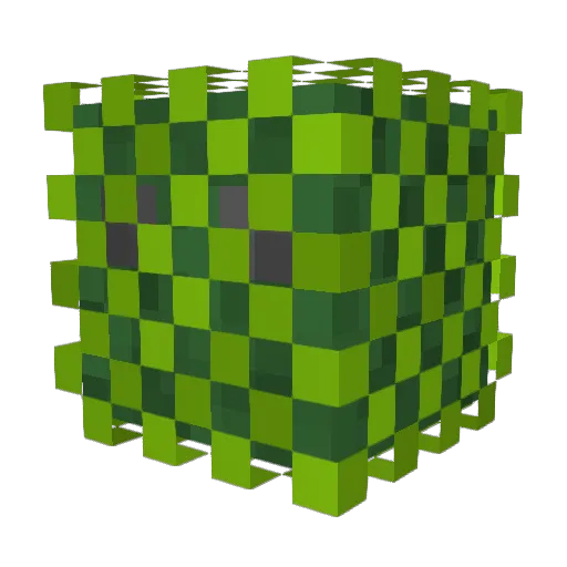 Soullgang Minecraft avatar head, 3D render