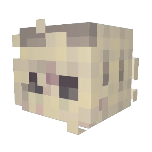 Soulln Minecraft avatar head, 3D render