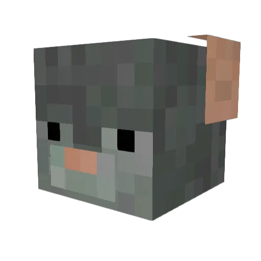 Soulpaw31 Minecraft avatar head, 3D render