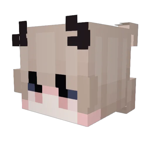 Soulpwere Minecraft avatar head, 3D render