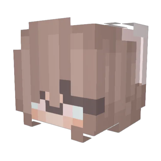 Souls_of_vallys Minecraft avatar head, 3D render