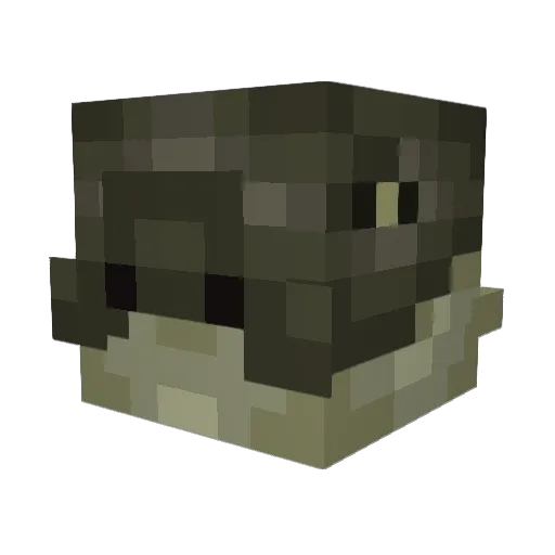 Soultail Minecraft avatar head, 3D render