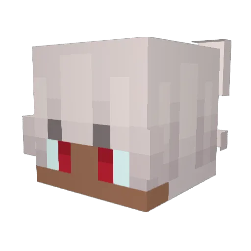 Soultorn Minecraft avatar head, 3D render