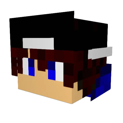 Soulwarrior4258 Minecraft avatar head, 3D render