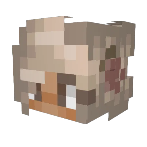 Soulzin_ Minecraft avatar head, 3D render