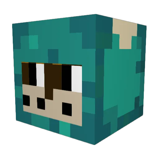 Soup6479 Minecraft avatar head, 3D render