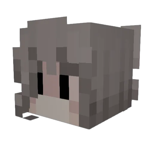 Soup7104 Minecraft avatar head, 3D render