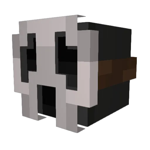 Soup879 Minecraft avatar head, 3D render