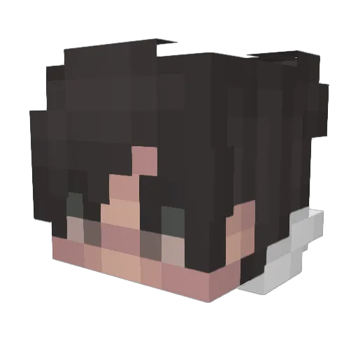 Soup Minecraft avatar head, 3D render