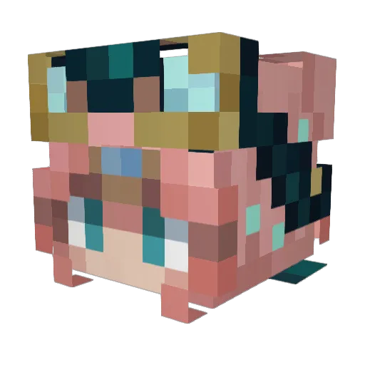 SoupBoi_08 Minecraft avatar head, 3D render