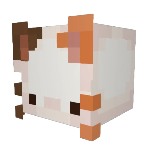 SoupFace7324 Minecraft avatar head, 3D render