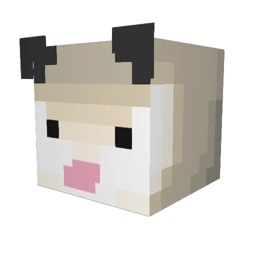 SoupJohn Minecraft avatar head, 3D render