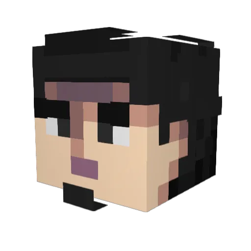 SoupLadle Minecraft avatar head, 3D render
