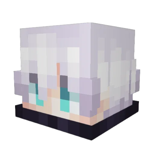 SoupNutbot Minecraft avatar head, 3D render