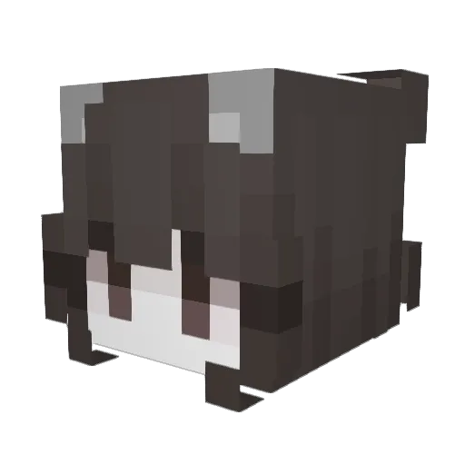 SoupPurr Minecraft avatar head, 3D render
