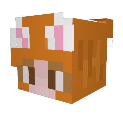SoupSCP Minecraft avatar head, 3D render