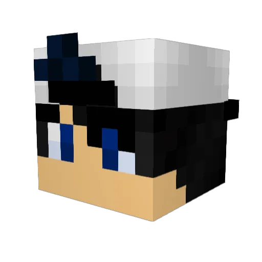 SoupStore Minecraft avatar head, 3D render
