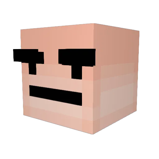 Soup_B0wl Minecraft avatar head, 3D render