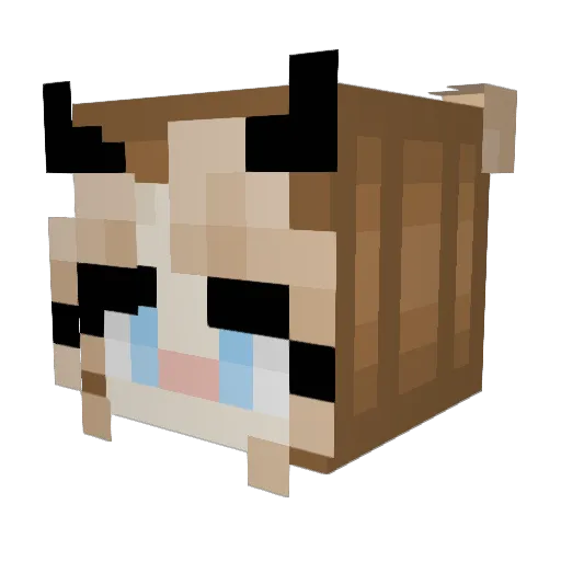 Soup_Sp00n Minecraft avatar head, 3D render