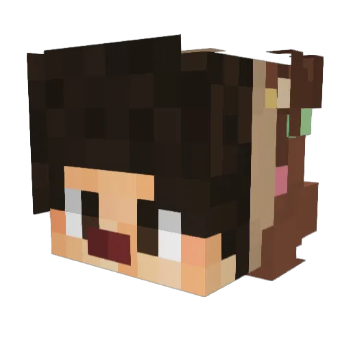 Soup_Tr1nity Minecraft avatar head, 3D render