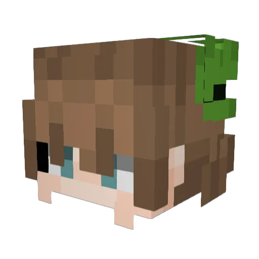 Soupbous Minecraft avatar head, 3D render