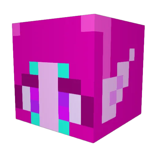 SoupdogYT Minecraft avatar head, 3D render