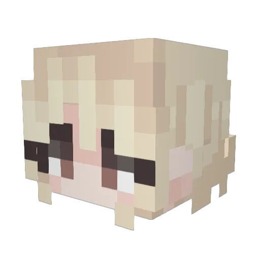 SoupeDuJour Minecraft avatar head, 3D render