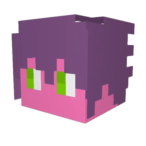 SouperBaer Minecraft avatar head, 3D render