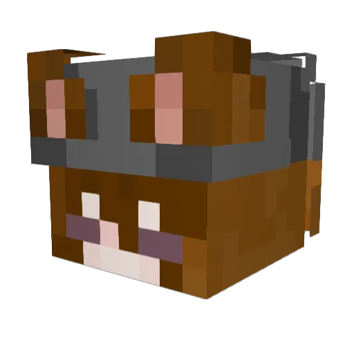 Soupination Minecraft avatar head, 3D render