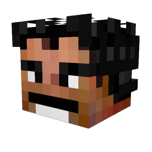 Soupooo Minecraft avatar head, 3D render