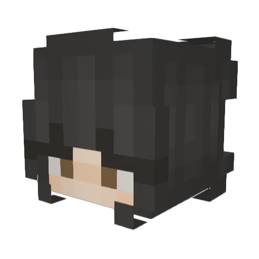 Soupp69420 Minecraft avatar head, 3D render