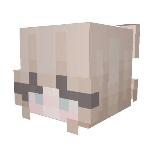 Souppra Minecraft avatar head, 3D render