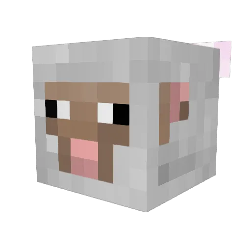 Soupsunnie Minecraft avatar head, 3D render