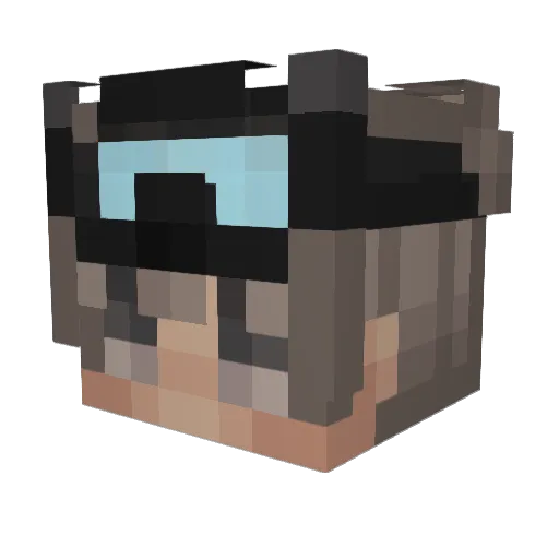 SoupvitMC Minecraft avatar head, 3D render