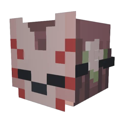 SoupyHands Minecraft avatar head, 3D render