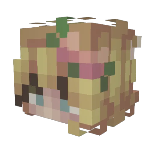 SoupyJess Minecraft avatar head, 3D render